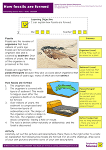 Outstanding Science Year 3 - Rocks | How fossils are formed