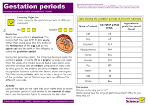 Outstanding Science Year 5 - Animals, including humans | Gestation periods